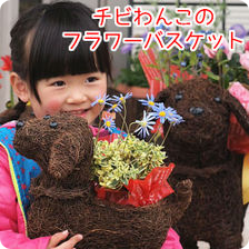 旬の鉢花ギフト「　ハッピーわんこ　」 ¥3,780円 (税込 4,082 円)