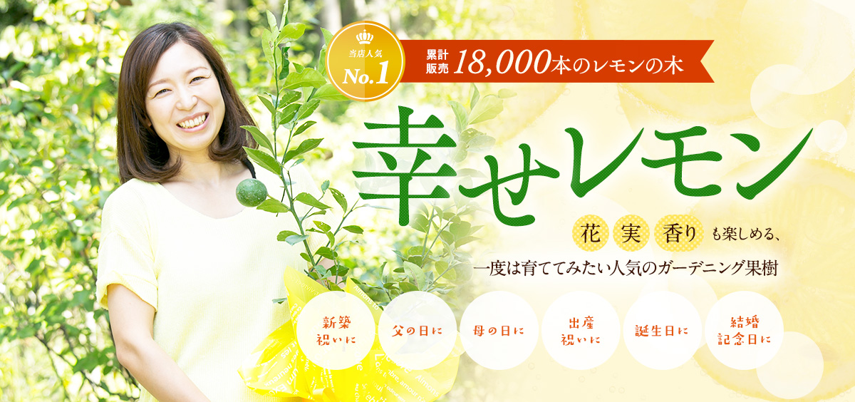 累計販売18,000本のレモンの木 幸せレモン